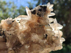 Natural Smokey Quartz and Black Tourmaline Specimens x 2 From Erongo, Namibia - Toprock Gemstones and Minerals 
