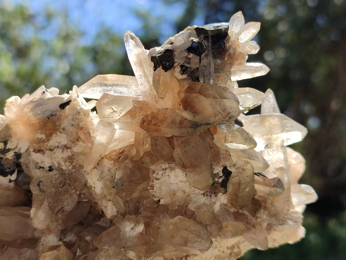 Natural Smokey Quartz and Black Tourmaline Specimens x 2 From Erongo, Namibia - Toprock Gemstones and Minerals 