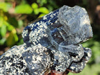 Natural Smokey Quartz and Black Tourmaline Specimens x 2 From Erongo, Namibia - Toprock Gemstones and Minerals 