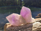 Natural Jacaranda Amethyst Crystals and Clusters x 6 From Mumbwa, Zambia - Toprock Gemstones and Minerals 