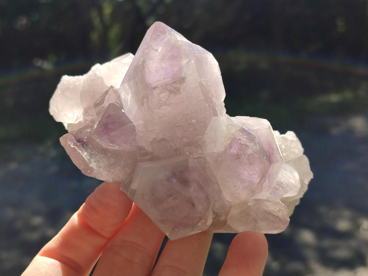 Natural Jacaranda Amethyst Crystals and Clusters x 6 From Mumbwa, Zambia - Toprock Gemstones and Minerals 