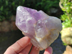 Natural Jacaranda Amethyst Crystals and Clusters x 6 From Mumbwa, Zambia - Toprock Gemstones and Minerals 
