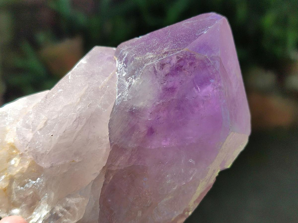 Natural Jacaranda Amethyst Crystals and Clusters x 6 From Mumbwa, Zambia - Toprock Gemstones and Minerals 