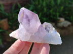 Natural Jacaranda Amethyst Crystals and Clusters x 6 From Mumbwa, Zambia - Toprock Gemstones and Minerals 