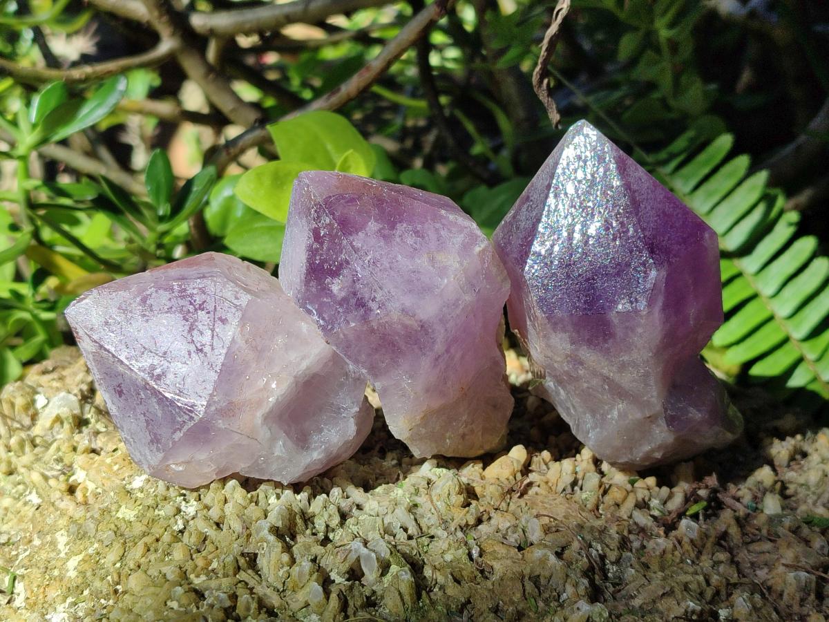 Natural Jacaranda Amethyst Crystals and Clusters x 6 From Mumbwa, Zambia - Toprock Gemstones and Minerals 