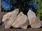 Natural Malagasy Quartz Crystal Clusters x 12 From Madagascar - Toprock Gemstones and Minerals 