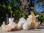 Natural Malagasy Quartz Crystal Clusters x 12 From Madagascar - Toprock Gemstones and Minerals 