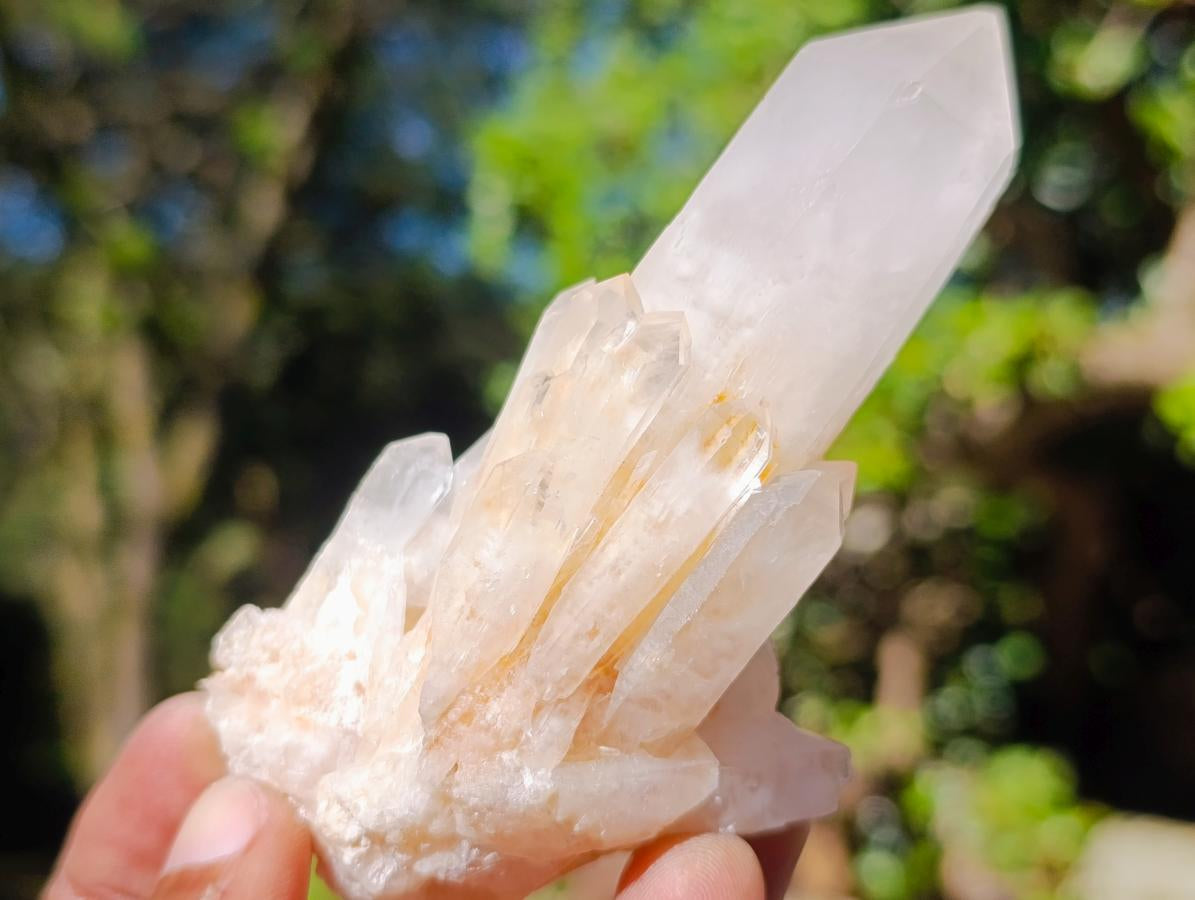 Natural Malagasy Quartz Crystal Clusters x 12 From Madagascar - Toprock Gemstones and Minerals 