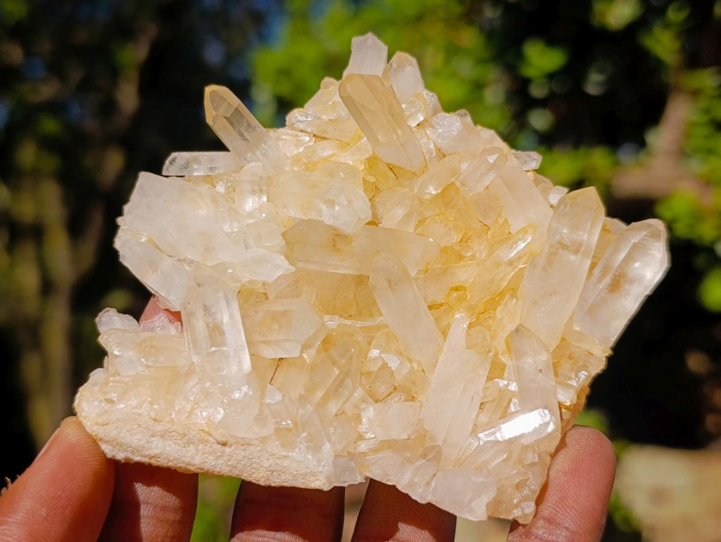 Natural Malagasy Quartz Crystal Clusters x 12 From Madagascar - Toprock Gemstones and Minerals 