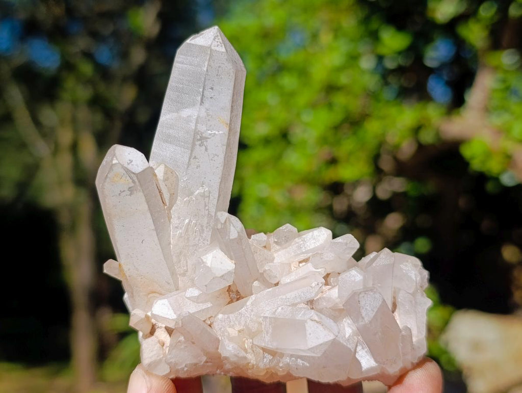 Natural Malagasy Quartz Crystal Clusters x 12 From Madagascar - Toprock Gemstones and Minerals 