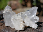 Natural Malagasy Quartz Crystals x 70 From Madagascar - Toprock Gemstones and Minerals 
