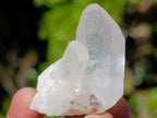 Natural Malagasy Quartz Crystals x 70 From Madagascar - Toprock Gemstones and Minerals 