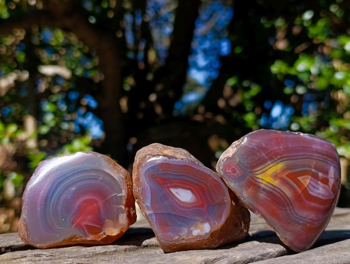 Polished One Side Red Shashe River Agate Nodules x 24 From Shashe River, Zimbabwe - Toprock Gemstones and Minerals 