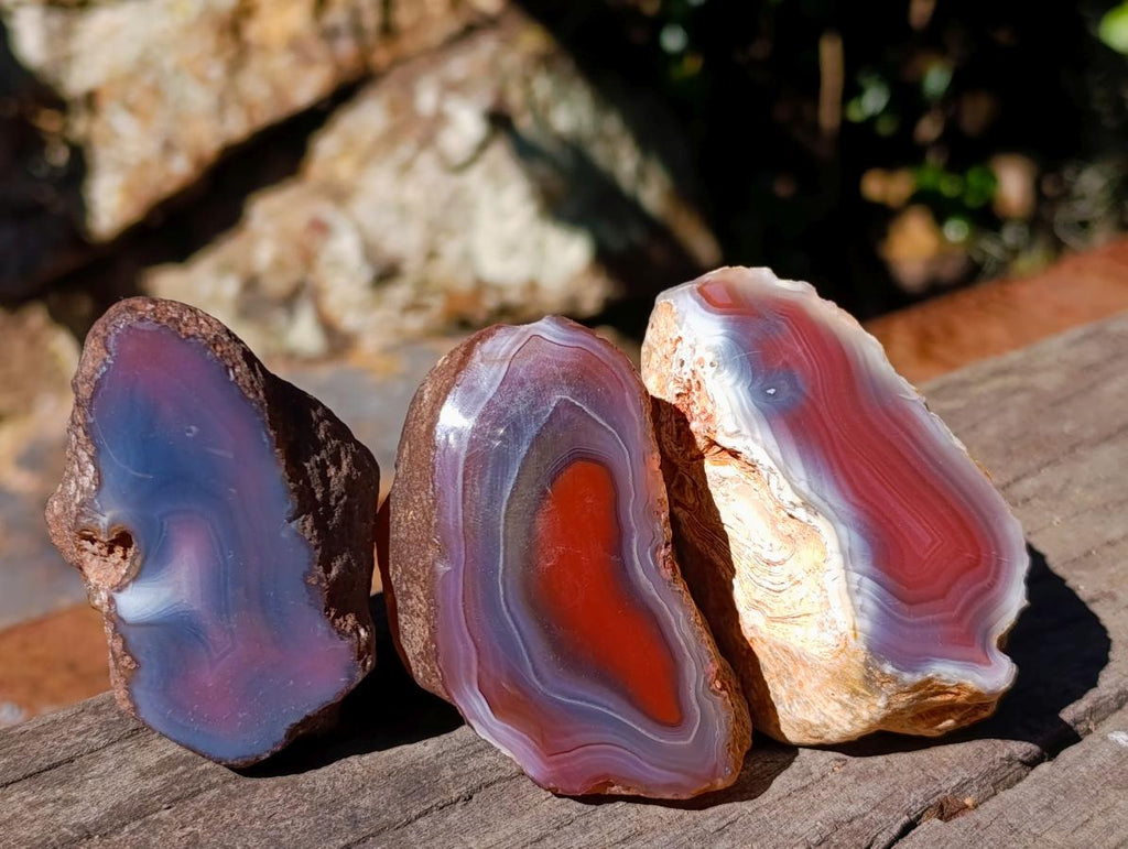 Polished One Side Red Shashe River Agate Nodules x 24 From Shashe River, Zimbabwe - Toprock Gemstones and Minerals 