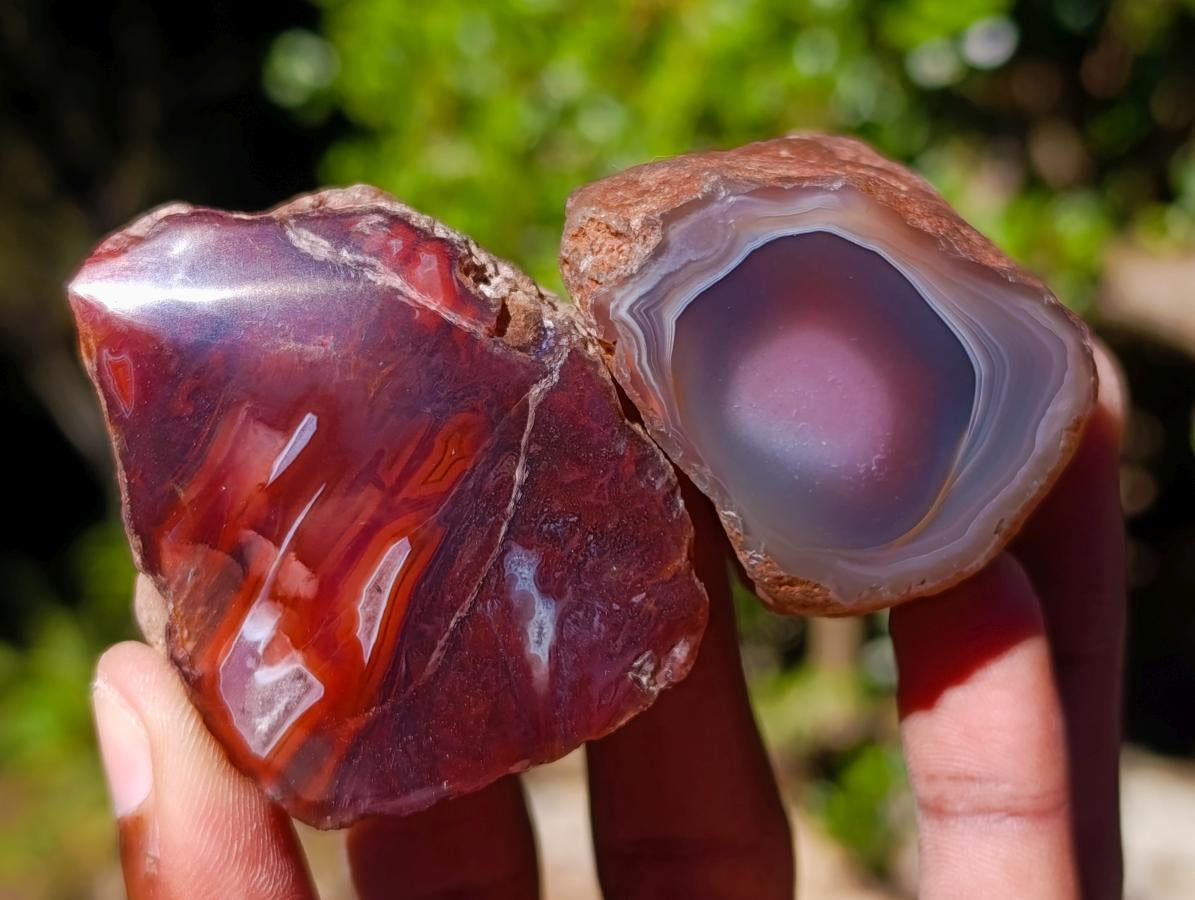 Polished One Side Red Shashe River Agate Nodules x 24 From Shashe River, Zimbabwe - Toprock Gemstones and Minerals 