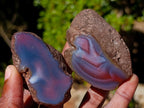 Polished One Side Red Shashe River Agate Nodules x 24 From Shashe River, Zimbabwe - Toprock Gemstones and Minerals 