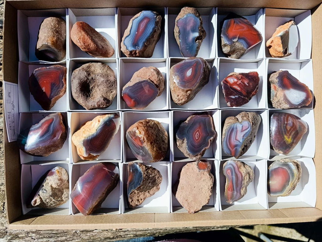 Polished One Side Red Shashe River Agate Nodules x 24 From Shashe River, Zimbabwe - Toprock Gemstones and Minerals 