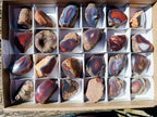 Polished One Side Red Shashe River Agate Nodules x 24 From Shashe River, Zimbabwe - Toprock Gemstones and Minerals 