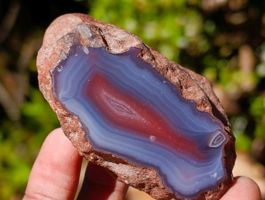 Polished One Side Red Shashe River Agate Nodules x 24 From Shashe River, Zimbabwe - Toprock Gemstones and Minerals 