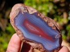 Polished One Side Red Shashe River Agate Nodules x 24 From Shashe River, Zimbabwe - Toprock Gemstones and Minerals 