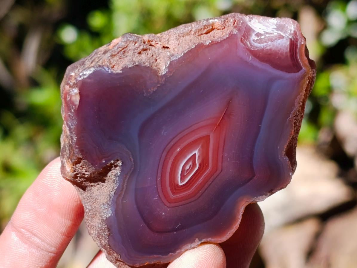 Polished One Side Red Shashe River Agate Nodules x 24 From Shashe River, Zimbabwe - Toprock Gemstones and Minerals 