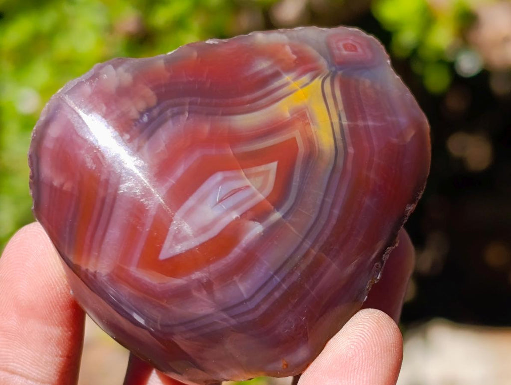 Polished One Side Red Shashe River Agate Nodules x 24 From Shashe River, Zimbabwe - Toprock Gemstones and Minerals 
