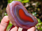Polished One Side Red Shashe River Agate Nodules x 24 From Shashe River, Zimbabwe - Toprock Gemstones and Minerals 