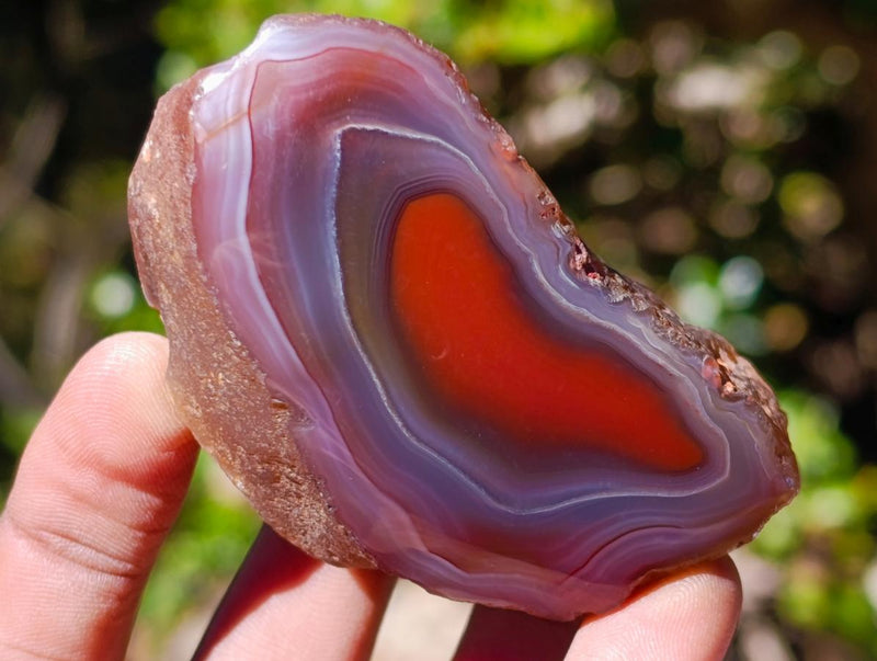 Polished One Side Red Shashe River Agate Nodules x 24 From Shashe River, Zimbabwe - Toprock Gemstones and Minerals 