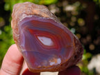 Polished One Side Red Shashe River Agate Nodules x 24 From Shashe River, Zimbabwe - Toprock Gemstones and Minerals 
