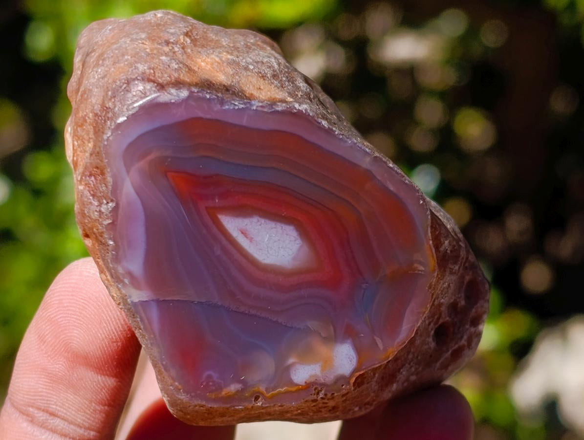 Polished One Side Red Shashe River Agate Nodules x 24 From Shashe River, Zimbabwe - Toprock Gemstones and Minerals 