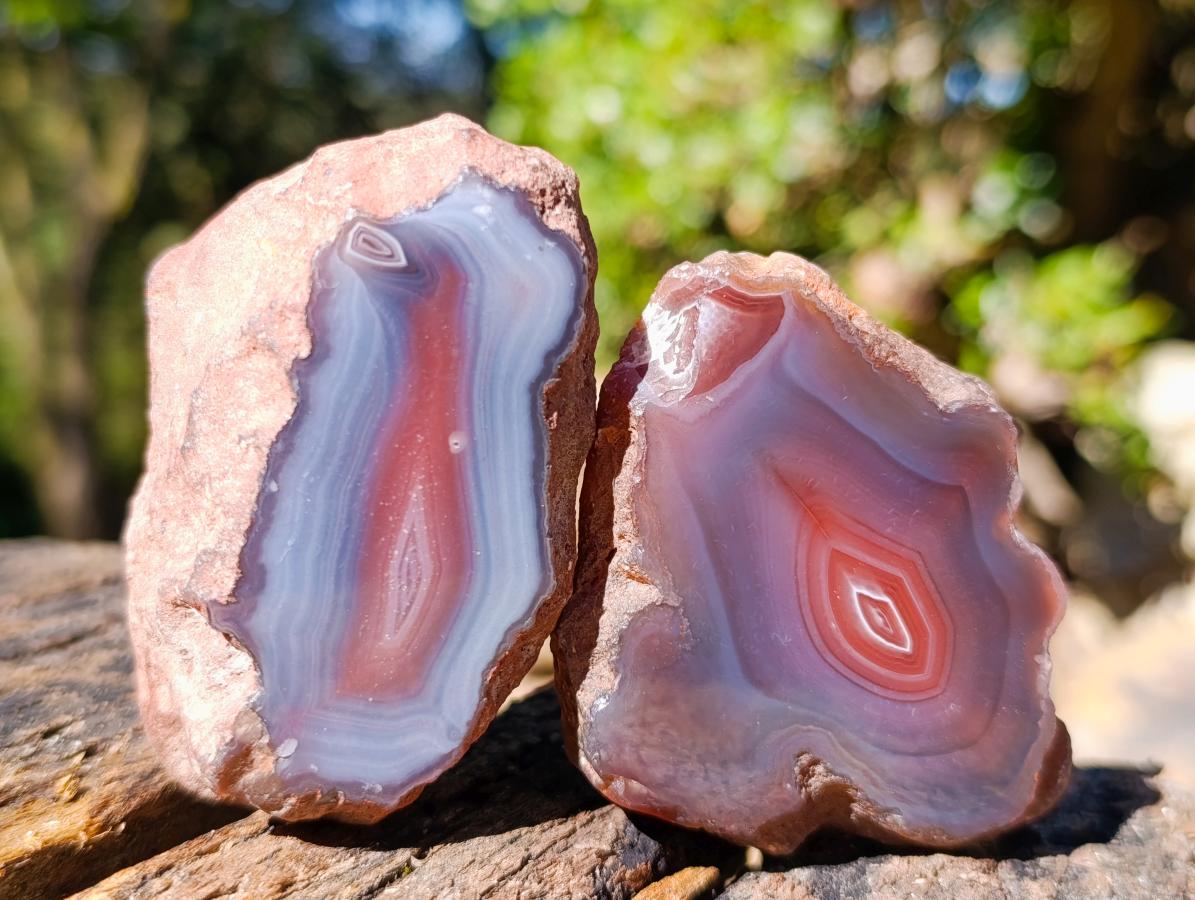 Polished One Side Red Shashe River Agate Nodules x 24 From Shashe River, Zimbabwe - Toprock Gemstones and Minerals 
