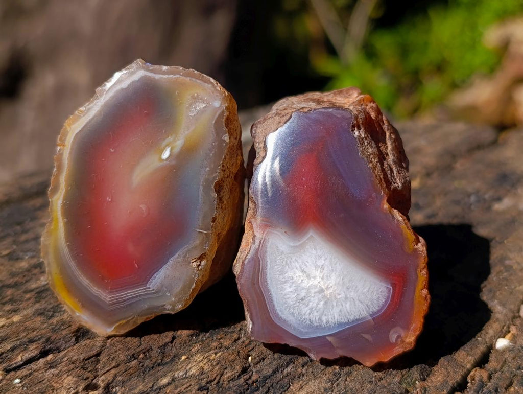 Polished One Side Red Shashe River Agate Nodules x 24 From Shashe River, Zimbabwe - Toprock Gemstones and Minerals 