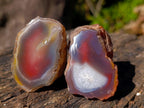 Polished One Side Red Shashe River Agate Nodules x 24 From Shashe River, Zimbabwe - Toprock Gemstones and Minerals 