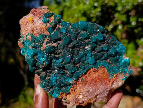 Natural Large Dioptase on Dolomite Specimen x 1 From Likasi, Congo - Toprock Gemstones and Minerals 