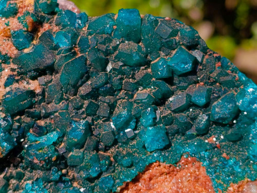 Natural Large Dioptase on Dolomite Specimen x 1 From Likasi, Congo - Toprock Gemstones and Minerals 