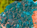 Natural Large Dioptase on Dolomite Specimen x 1 From Likasi, Congo - Toprock Gemstones and Minerals 
