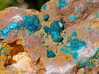 Natural Large Dioptase on Dolomite Specimen x 1 From Likasi, Congo - Toprock Gemstones and Minerals 
