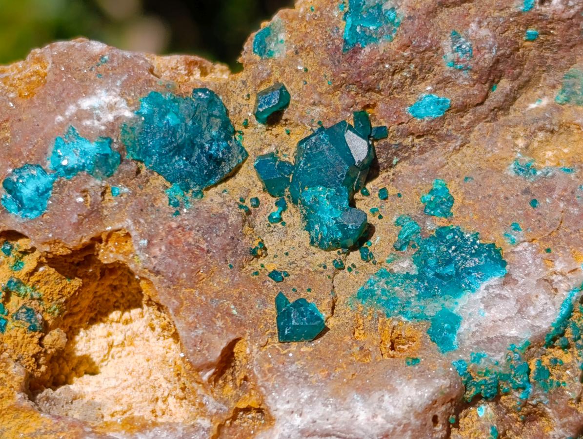 Natural Large Dioptase on Dolomite Specimen x 1 From Likasi, Congo - Toprock Gemstones and Minerals 
