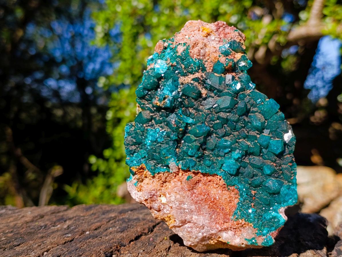 Natural Large Dioptase on Dolomite Specimen x 1 From Likasi, Congo - Toprock Gemstones and Minerals 
