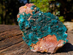 Natural Large Dioptase on Dolomite Specimen x 1 From Likasi, Congo - Toprock Gemstones and Minerals 