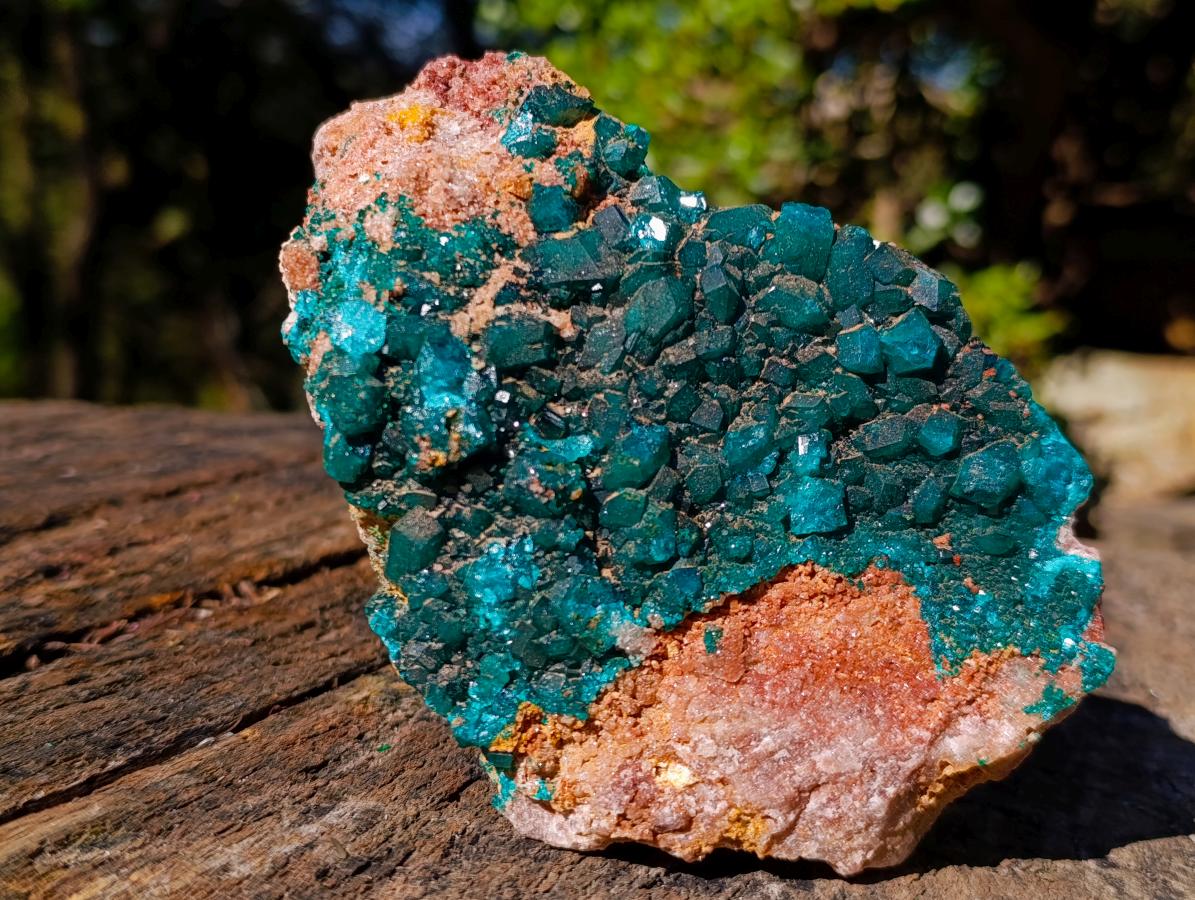 Natural Large Dioptase on Dolomite Specimen x 1 From Likasi, Congo - Toprock Gemstones and Minerals 