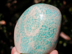 Polished Amazonite Standing Display Pieces x 6 From Madagascar - Toprock Gemstones and Minerals 