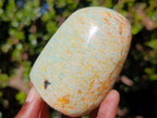Polished Amazonite Standing Display Pieces x 6 From Madagascar - Toprock Gemstones and Minerals 