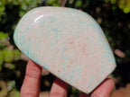 Polished Amazonite Standing Display Pieces x 6 From Madagascar - Toprock Gemstones and Minerals 