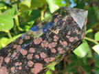 Polished Rare "Water Sapphire" Standing Display Piece and Display Crystal with Sillimanite Spots x 2 From Ambatofinandrahana, Madagascar - Toprock Gemstones and Minerals 