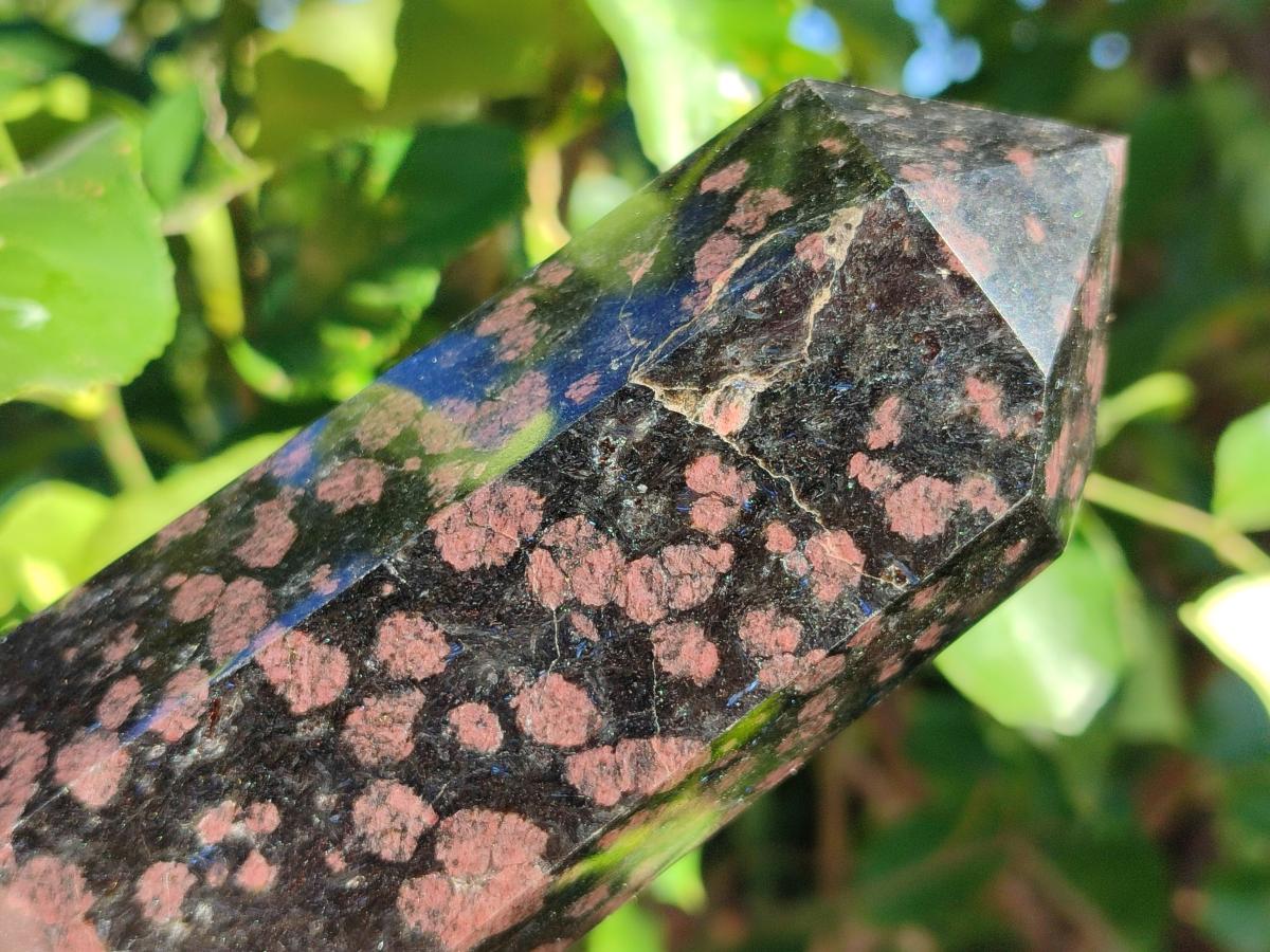 Polished Rare "Water Sapphire" Standing Display Piece and Display Crystal with Sillimanite Spots x 2 From Ambatofinandrahana, Madagascar - Toprock Gemstones and Minerals 