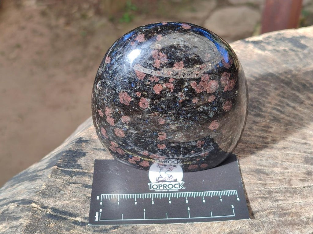 Polished Rare "Water Sapphire" Standing Display Piece and Display Crystal with Sillimanite Spots x 2 From Ambatofinandrahana, Madagascar - Toprock Gemstones and Minerals 