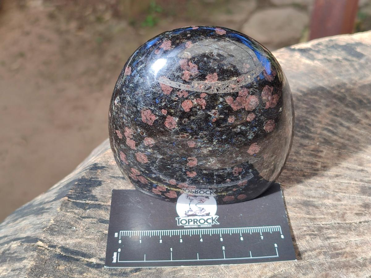 Polished Rare "Water Sapphire" Standing Display Piece and Display Crystal with Sillimanite Spots x 2 From Ambatofinandrahana, Madagascar - Toprock Gemstones and Minerals 