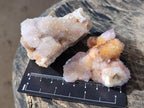 Natural Mixed Spirit Amethyst Clusters x 12 From Boekenhouthoek, South Africa - Toprock Gemstones and Minerals 