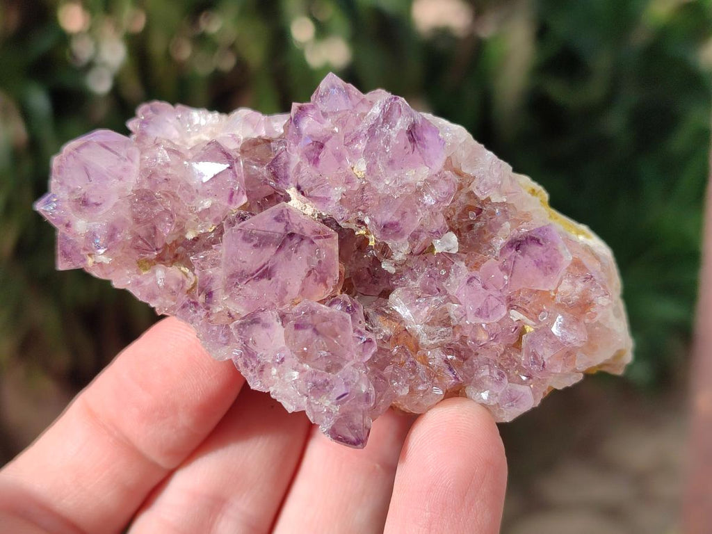 Natural Mixed Spirit Amethyst Clusters x 12 From Boekenhouthoek, South Africa - Toprock Gemstones and Minerals 